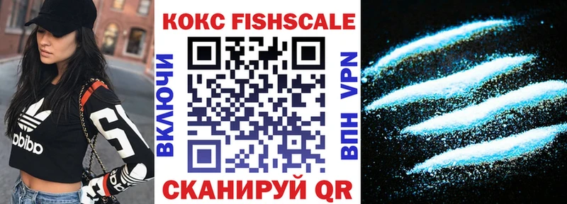 Купить где  Тара  COCAIN Fish Scale 