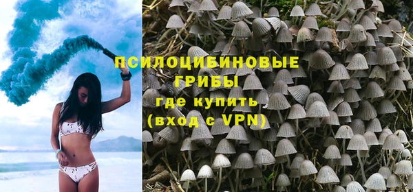 синтетический гашиш Богородск