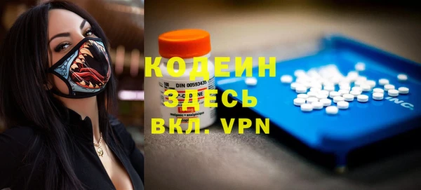 прущие грибы Богданович