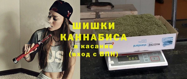 прущие грибы Богданович