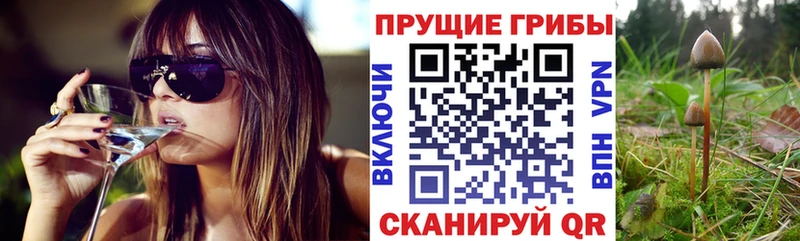 Псилоцибиновые грибы Magic Shrooms  Купить где  Тара 